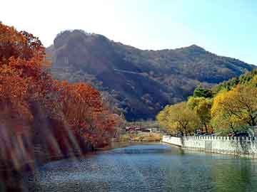 澳门二四六天天彩图库，仙居黑帽seo